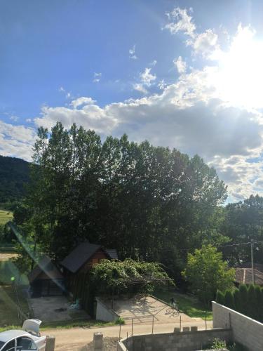 a large tree in front of a house at Apartmani Drinski biseri Vrhpolje in Vrhpolje