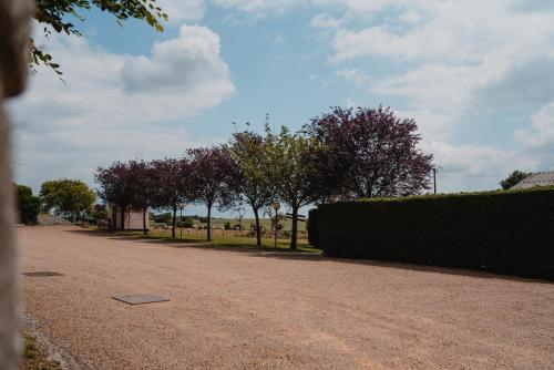 a dirt road with a hedge and trees in the distance at Hotel & Restaurant Maison Pal'Ange in Durbuy
