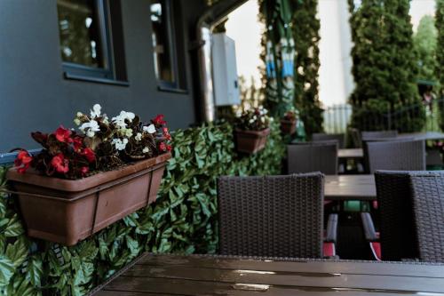 Fotografie z fotogalerie ubytování New Hotel v destinaci Sarajevo
