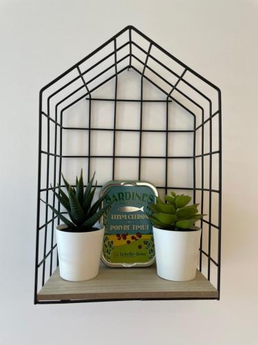 a shelf with two potted plants on it at *** Domaine des Noyers - Proche centre Ville in Châteauneuf-sur-Loire