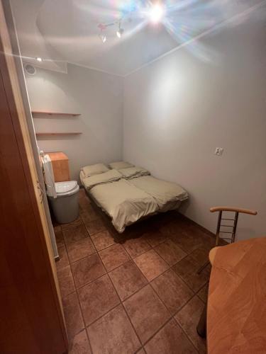 クリニツァ・モルスカにあるApartament Strzechówkaのベッドとトイレ付きの小さな部屋です。