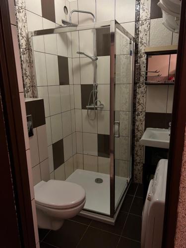 クリニツァ・モルスカにあるApartament Strzechówkaのバスルーム(シャワー、トイレ、洗面台付)