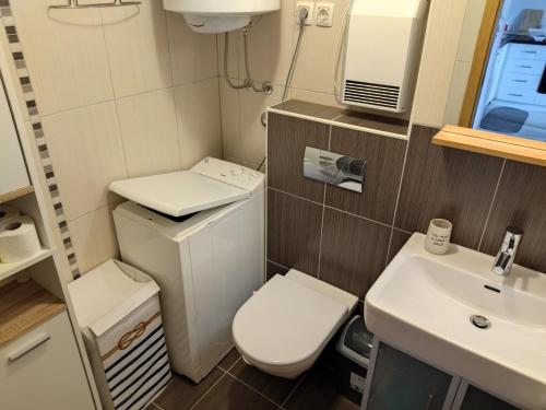 a small bathroom with a toilet and a sink at Apartman Ana in Mrkopalj