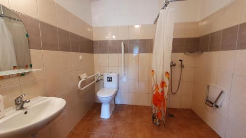 La salle de bains est pourvue de toilettes, d'un lavabo et d'une douche. dans l'établissement Chata Na Čiháku, à Klášterec nad Orlicí
