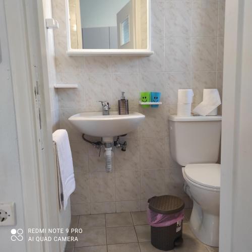 a bathroom with a sink and a toilet and a mirror at ARETI APARTMENTS in Petalidi