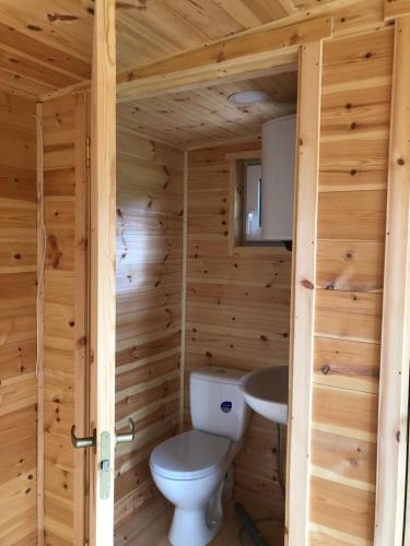 a wooden bathroom with a toilet and a sink at Marių įlanka camping in Marijampolė