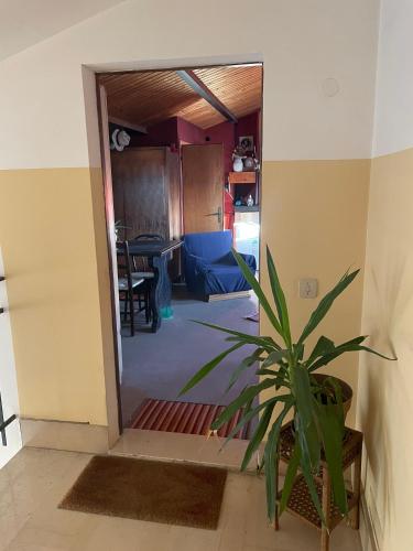 una sala de estar con una maceta en la puerta en Mansarda en Spoleto