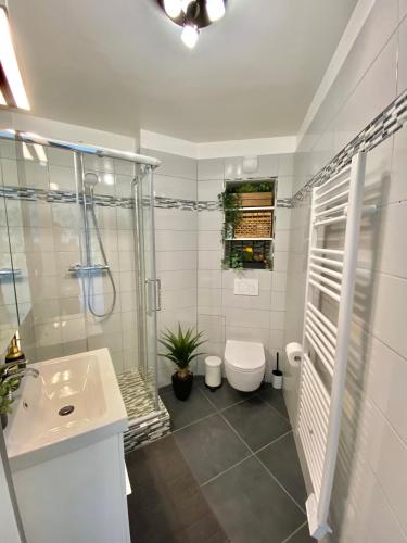 une salle de bain avec une douche, des toilettes et un lavabo dans l'établissement «La Petite Escapade à Deauville» PLACE MORNY, à Deauville