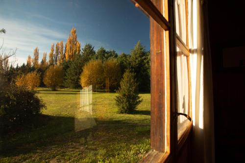 a window with a view of a field of trees at Posada Los Mimbres in Gaiman