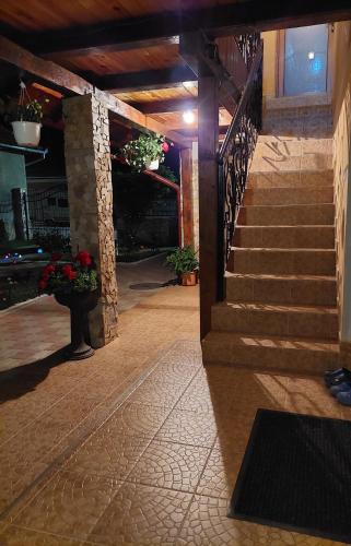 a staircase in a building with potted plants at Casa Cristina in Cîrţişoara