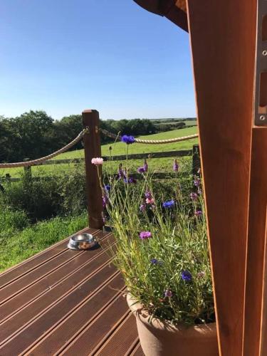 The Hobbit Hole – Photos 4