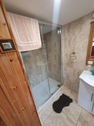 a bathroom with a shower and a sink at Cosy Countryside Log Cabin in Kilkenny
