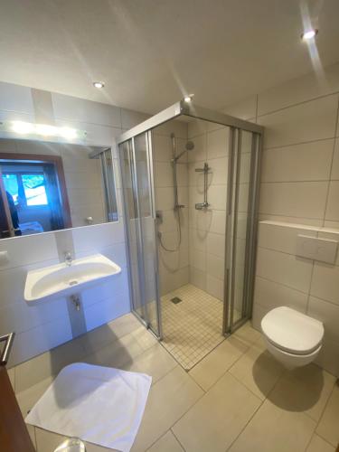 a bathroom with a shower and a toilet and a sink at Alpenrose-Apart in Nauders