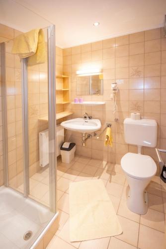 a bathroom with a shower and a toilet and a sink at Embacherhof in Embach