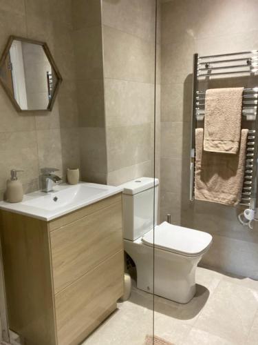 a bathroom with a toilet and a sink and a mirror at Newly Refurbished Entire Apartment - South Gosforth, Newcastle in High Heaton