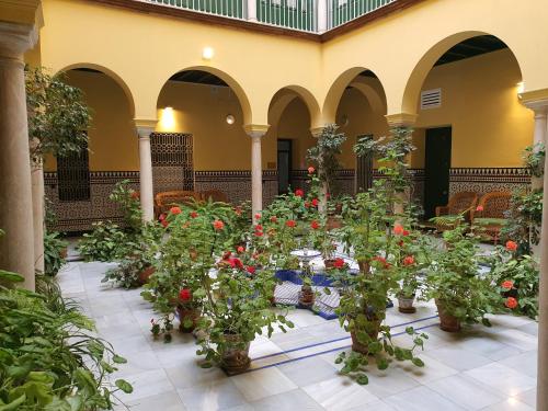 Apartamento Centro de Sevilla Histórico