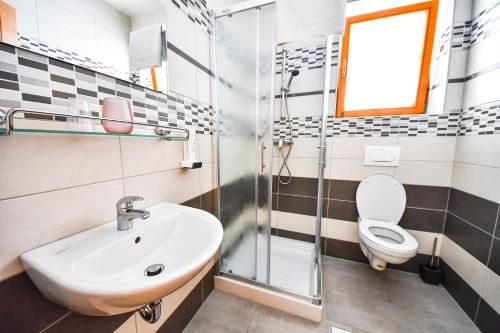 a bathroom with a sink and a toilet at Farm Stay Peternelj in Ilirska Bistrica