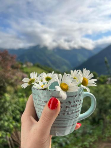a person holding a cup with daisies in it at Woodhide - Cottages near Batumi, Georgia in Zeda Ch'khutunet'i