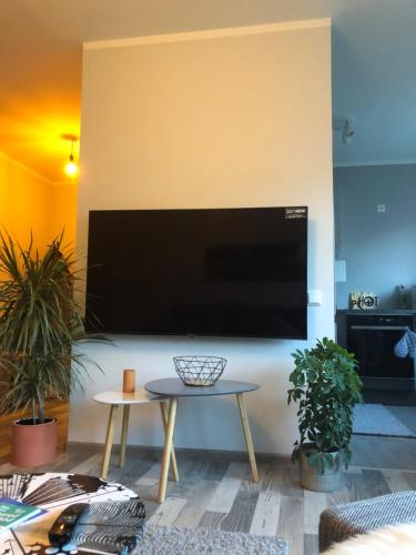 En tv och/eller ett underhållningssystem på Cozy apartment near the city centre and Emajõgi