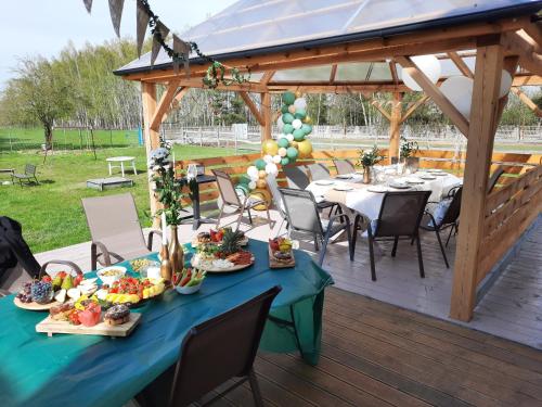 einen Tisch mit Teller mit Speisen auf einer Terrasse in der Unterkunft Nowa Wola 58 - 200qm appartment in a small village, with pool, sauna and big garden in Rusiec
