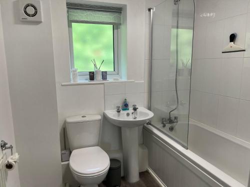 uma casa de banho com um WC, um lavatório e um chuveiro em The Aldridge 2 Bedroom Apartment with FREE Parking em Ibstock