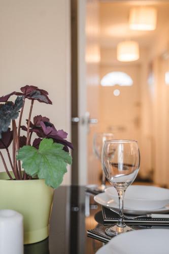 a table with a wine glass and a potted plant at Snapos Apartments - Tudor Close in Carbrook
