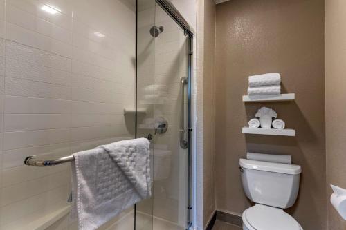 a bathroom with a shower and a toilet with a glass door at Best Western Silicon Valley Inn in Sunnyvale