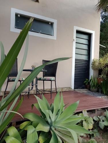 a deck with chairs and plants on a house at Solar Lisboa 100 m da Praia com vista para mar in Balneário Camboriú