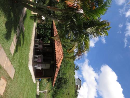 a tall palm tree next to a building at Pousada Recanto do João de Barro in Conservatória