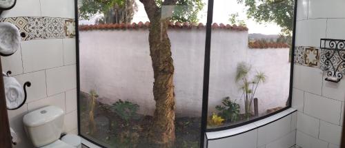 a bathroom with a tree outside of a window at Glamping De Ruana Por Boyacá in Paipa