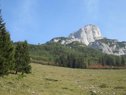 a mountain in the middle of a field with trees at Hotel Loy in Gröbming