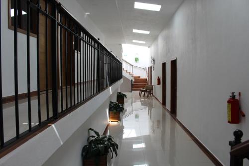 a hallway with potted plants in a building at Hotel Casa Peregrina in Tapalpa