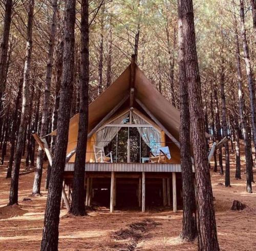 a tent in the middle of a forest with trees at Tedesco Eco Park in São Francisco de Paula