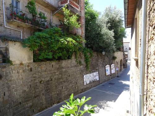 un callejón con plantas al lado de un edificio en Casa Ersilia, en Novi Velia