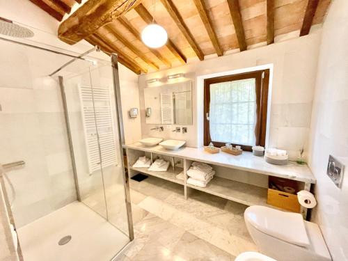 ein Bad mit einer Dusche, einem WC und einem Waschbecken in der Unterkunft Villa Podere Del Grasso in Castel del Piano