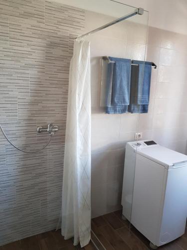 uma casa de banho com um chuveiro com toalhas azuis e uma máquina de lavar roupa em La Casa delle Magnolie em San Canzian dʼlsonzo