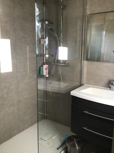 une salle de bain avec douche et lavabo dans l'établissement Duplex Bellevue, à Gérardmer
