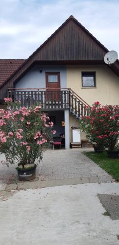 Ferienwohnung 1 Jöbstl