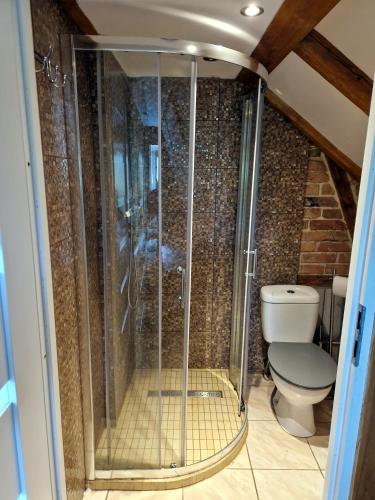 a shower in a bathroom with a toilet at TOBY blisko plaży Strandnahe near Beach in Międzyzdroje