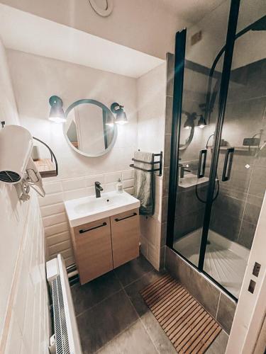 een badkamer met een douche, een wastafel en een spiegel bij LA FOUX D'ALLOS Centre station, vue panoramique Quartier les étoiles 50m des remontées in Allos