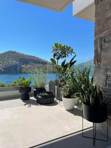 a group of potted plants sitting on a patio at Thea Luxury Apartment in Tolo