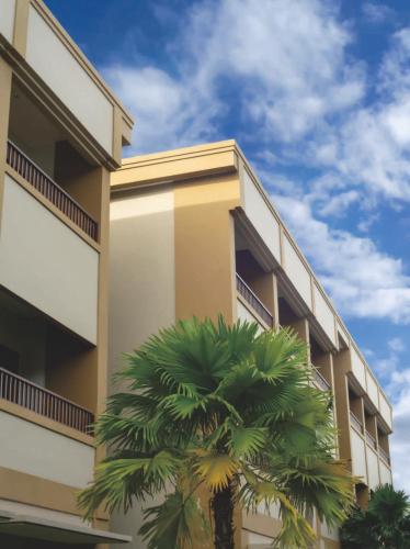 a building with a palm tree in front of it at Sima Hotel Kuta Lombok in Kuta Lombok