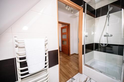 a bathroom with a shower and a walk in shower at Apartament Pastorówka in Pisz