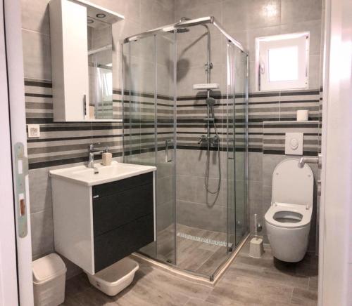 a bathroom with a shower and a toilet and a sink at Apartmani Cupara in Tivat