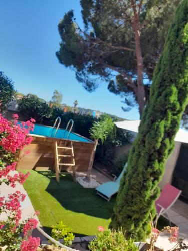 een tuin met een zwembad en een boom bij chambre cocooning in Marseillan