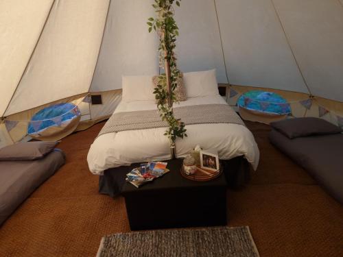 1 dormitorio con 1 cama en una tienda de campaña en Pop up Pembrokeshire en Pembroke