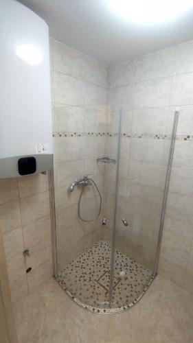 La salle de bains est pourvue d'une douche avec une porte en verre. dans l'établissement Apartamentai Rusnės centre, à Rusnė