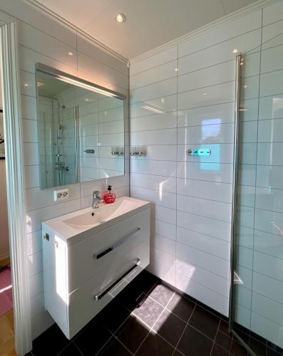 a bathroom with a white sink and a mirror at Leknes Panorama Lofoten in Leknes