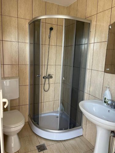 a shower in a bathroom with a toilet and a sink at Casa Athena in Costinesti