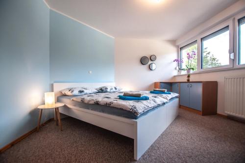 1 dormitorio con 1 cama grande en una habitación en Apartments Jelka, en Bohinj